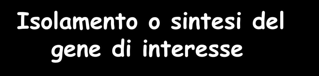 Isolamento o sintesi del Extraction of Viral RNA and gene