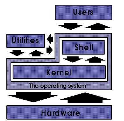 Unix in generale Informazioni Generali Le funzionalità di Unix sono organizzate logicamente a strati;