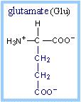 La Carbamilfosfato sintasi è attivata allostericamente da N-acetilglutammato.