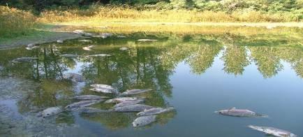 A causa di tutto ciò, l acqua manda