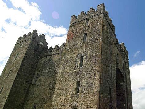 intorno al castello, ricostruisce la vita rurale nell Irlanda di 100 anni fa, con le sue fattorie appositamente ricostruite, cottage e negozi, ricreati con la massima cura e con particolare