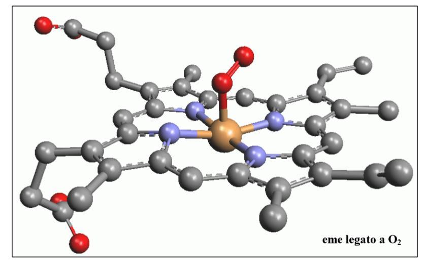 Fig.3) In questa immagine è possibile vedere un gruppo eme che trasporta una molecola di ossigeno (in rosso), legata al ferro centrale (in giallo).