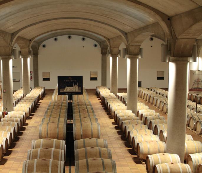 gaiaanderson La barriccaia sotterranea Realizzata nel 2007 presso le cantine storiche di Marsala, la barriccaia sotterranea è scavata nella roccia di tufo e consente un ridotto utilizzo di energia