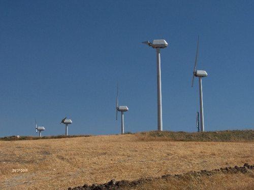Impianti eolici monopala