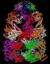 Three-dimensional structure of proteins Tertiary structure Quaternary