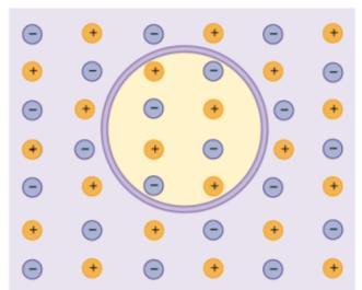 La membrana cellulare (isolante) consente una