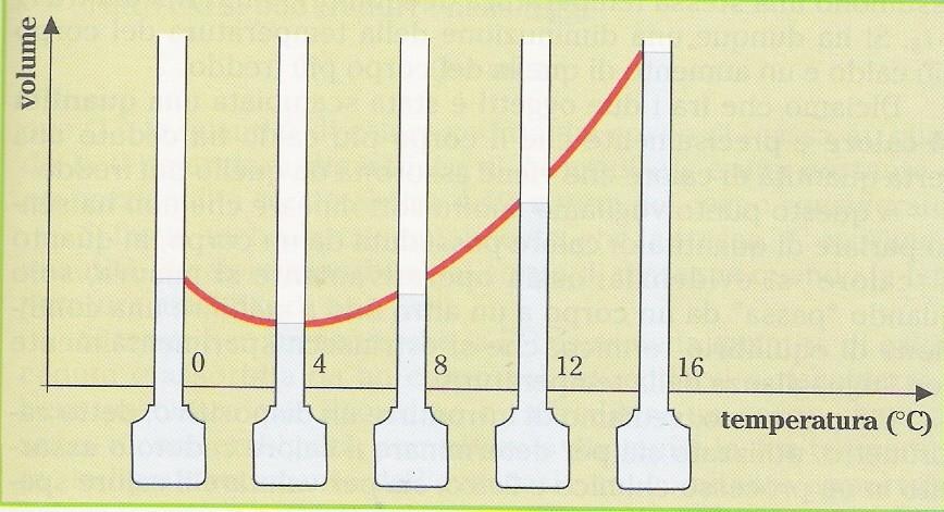 Volume e densità dell'acqua tra 0 e 100 C Ipotesi Aumentando la temperatura il volume dell'acqua aumenta?