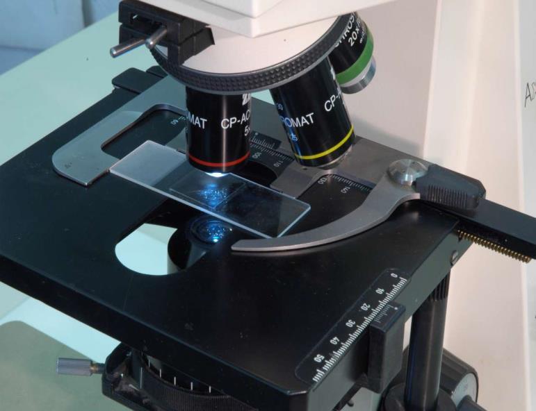 Analisi al microscopio ottico Range: 0,2-100 Campione disperso (sospensione) su di un vetrino. Obiettivi muniti di scala micrometrica Possibilità di proiettare su uno schermo.