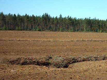 La torba Spesso strato di sostanza organica a vario grado di