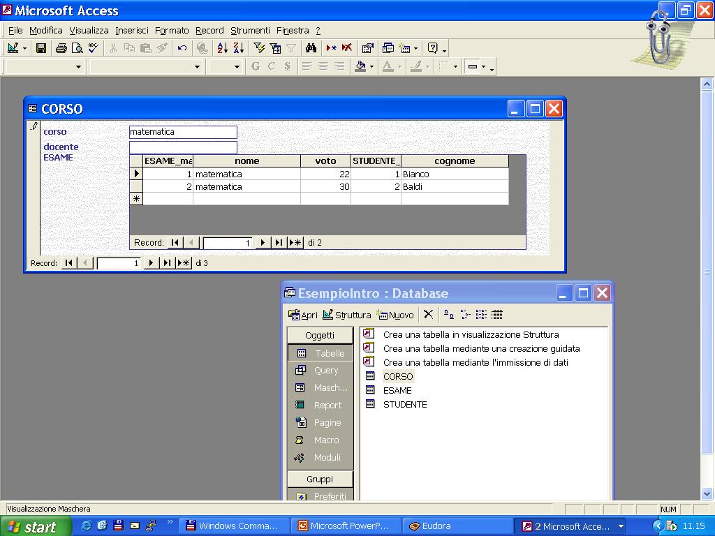 Utilizzo del DataBase I dati ottenuti possono essere quindi visualizzati e modificati in un formato personalizzabile