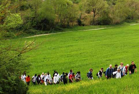 dom 14 maggio La Riserva Naturale delle Cornate e Fosini Escursione Dalle sue alture (1060m) sì abbraccia buona parte dell Arcipelago Toscano, le Colline Metallifere e si vede nascere il fiume Cecina.