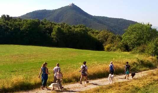 Dalla Rocca si aprono paesaggi straordinari sulla vicina gola del torrente Pavone e su una grossa parte della Toscana. PREZZO: 3, ridotti 2.