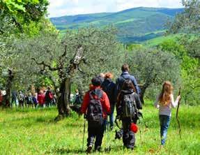 PROGRAMMA È autorizzato l accesso agli automezzi dom 7 maggio dei partecipanti all interno della Riserva Naturale Collaboratori Canislupus Italia; Tenuta di San Guido; Coop. Sociale Insieme.