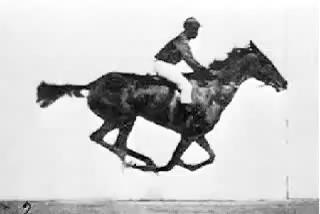 Eadweard Muybridge: Cronofotografia, i risultati