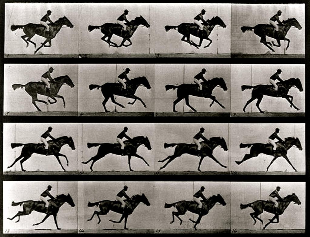 Eadweard Muybridge, foto tratta da Il movimento animale: una ricerca