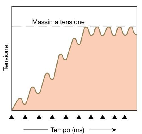 Tetano