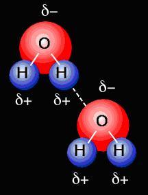 chimiche e fisiche di composti polari come il fluoruro di idrogeno e l acqua.
