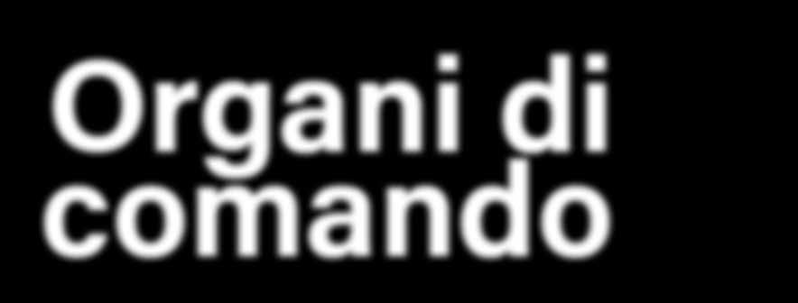 delle centrali antintrusione e nella versione