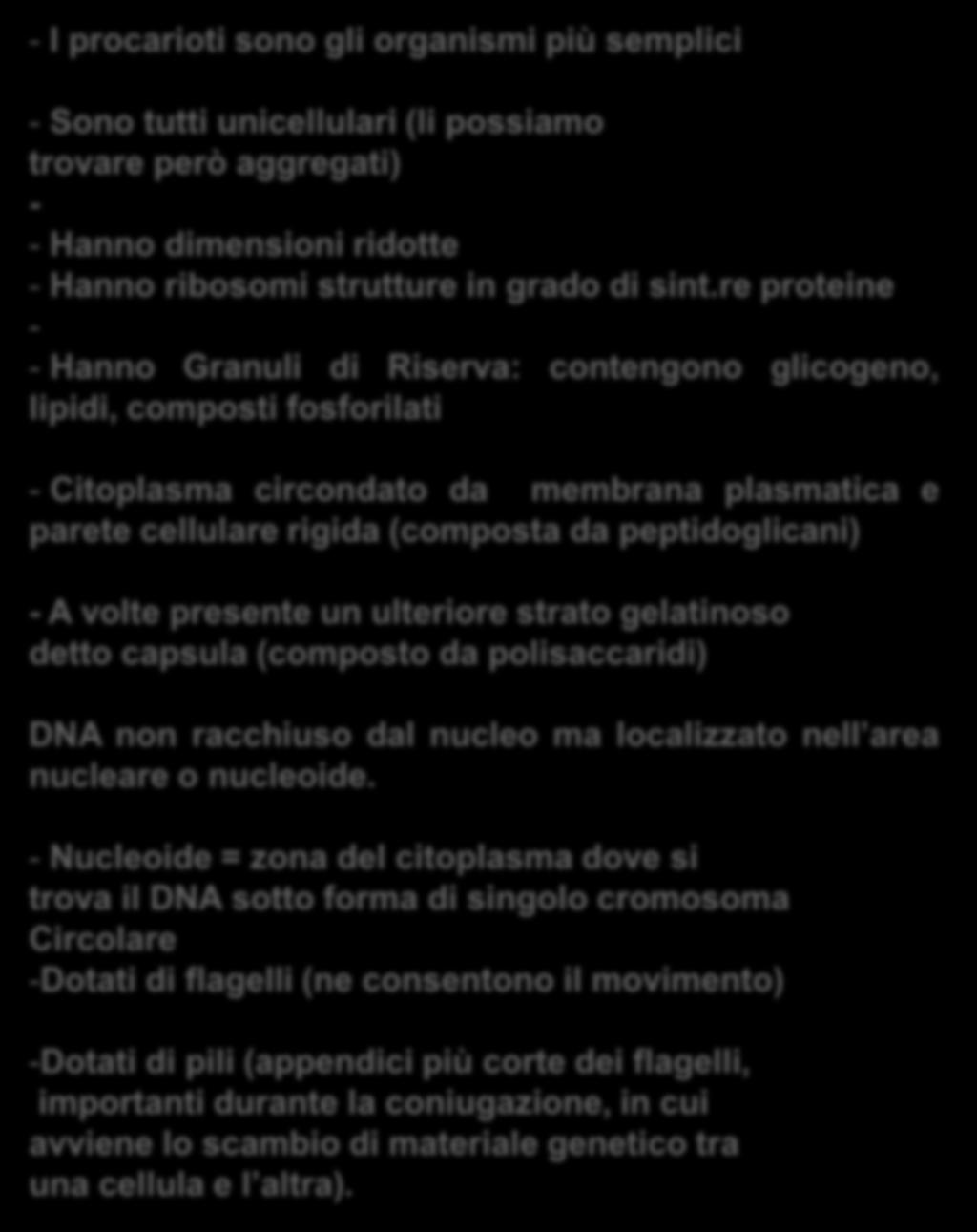 re proteine - - Hanno Granuli di Riserva: contengono glicogeno, lipidi, composti fosforilati - Citoplasma circondato da membrana plasmatica e parete cellulare rigida (composta da peptidoglicani) - A