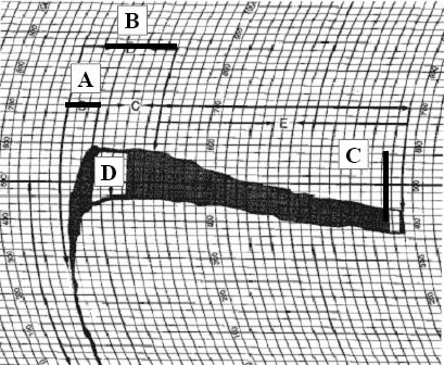 Valutazione tecnologica della farina Il farinogramma presenta in ascisse il tempo, espresso in minuti, e in ordinate una scala da 0 a 1000 che esprime la consistenza dell impasto in unità Brabender.