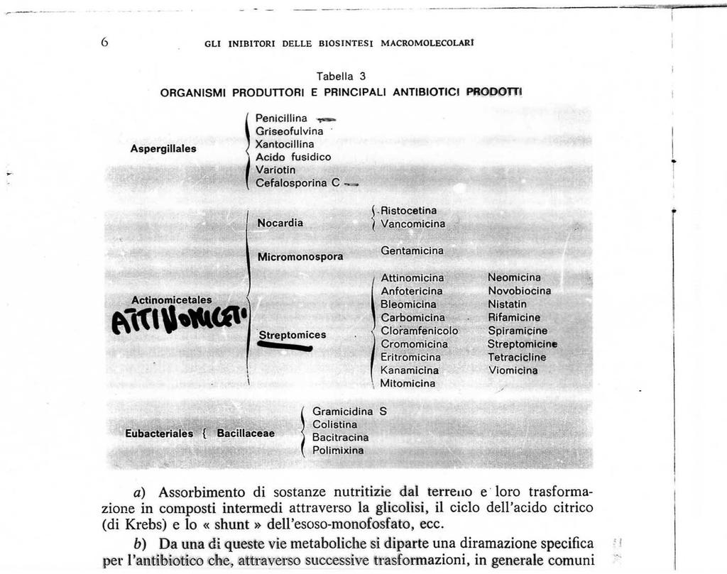 Microrganismi