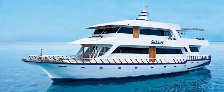 MALDIVE - CROCIERE M/y Bluetribe Sharifa Maldives Cabina In crociera scopri il lato più incontaminato delle Maldive Scoprire le Maldive più autentiche con una crociera settimanale, da vivere in