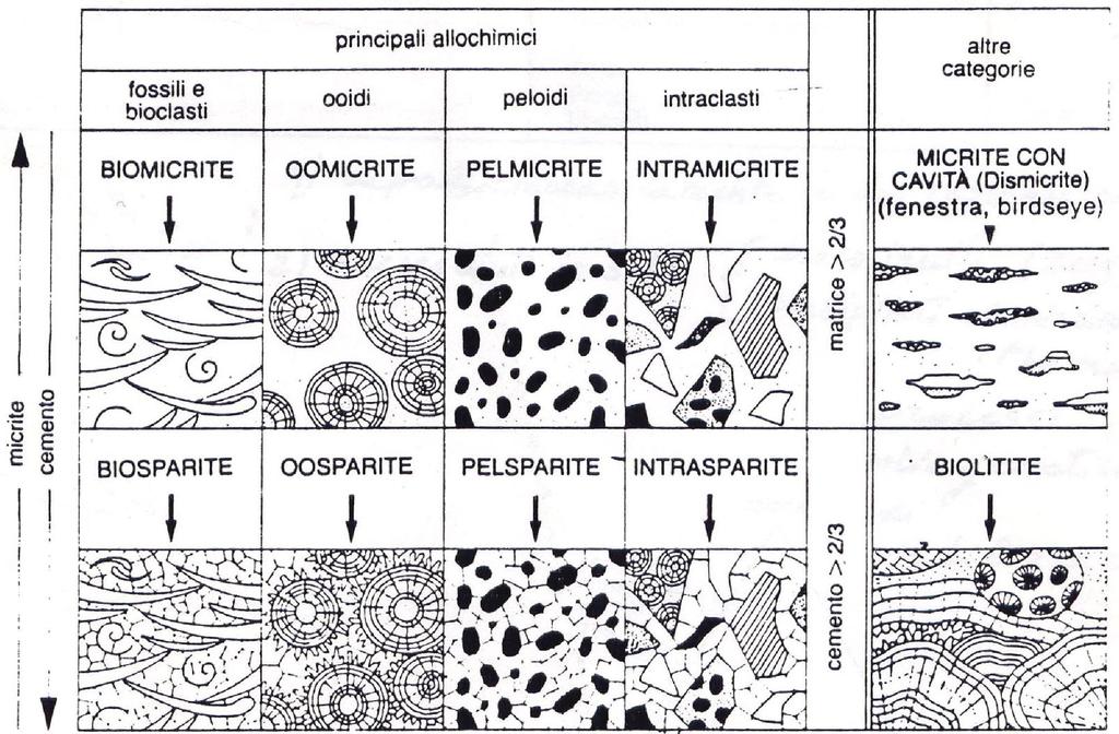 In base al rapporto fra le caratteristiche della componente legante e clastica (Classificazione di Folk): Classificazione di Folk La classificazione secondo lo schema di Folk (Fig.