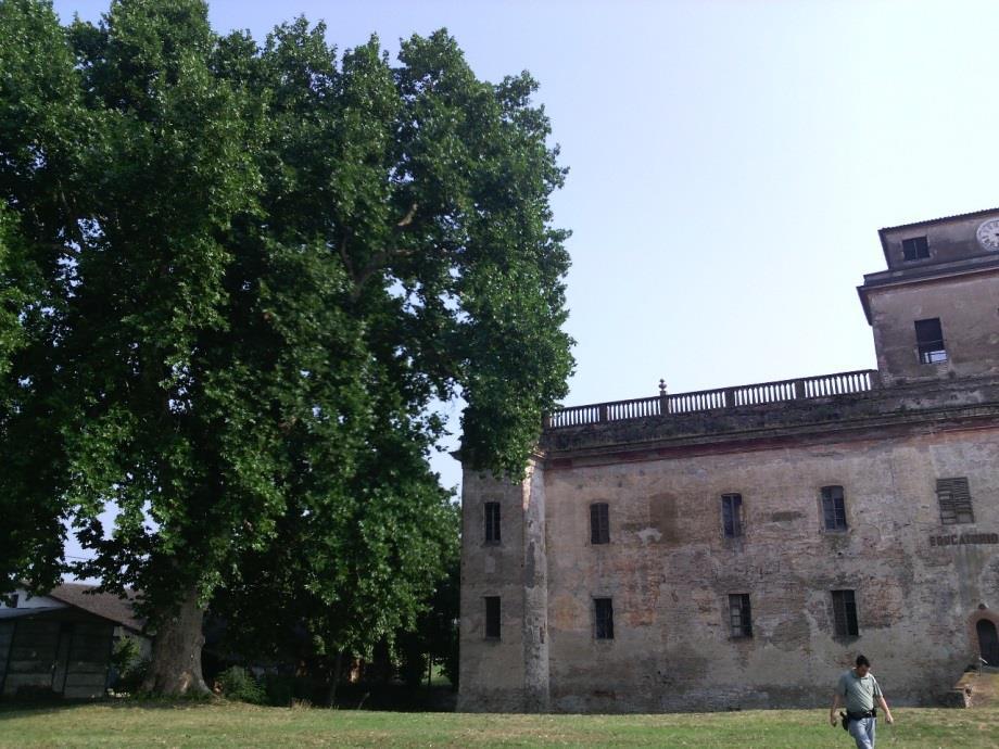 turistico, ma anche di architetture vegetali minori di interesse rurale.