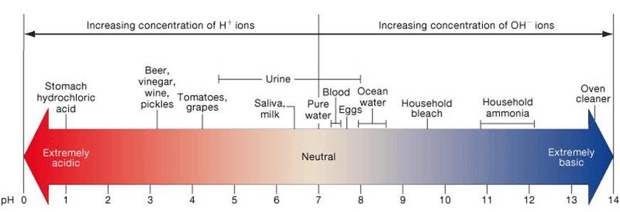 ph Misura la concentrazione di [H + ] in un mezzo acquoso (ph = -log[h + ]) Se elevati, alterano strutture e funzioni in sistemi biologici Il ph varia tra 0-14; il mezzo è neutro se ph = 7 (acqua