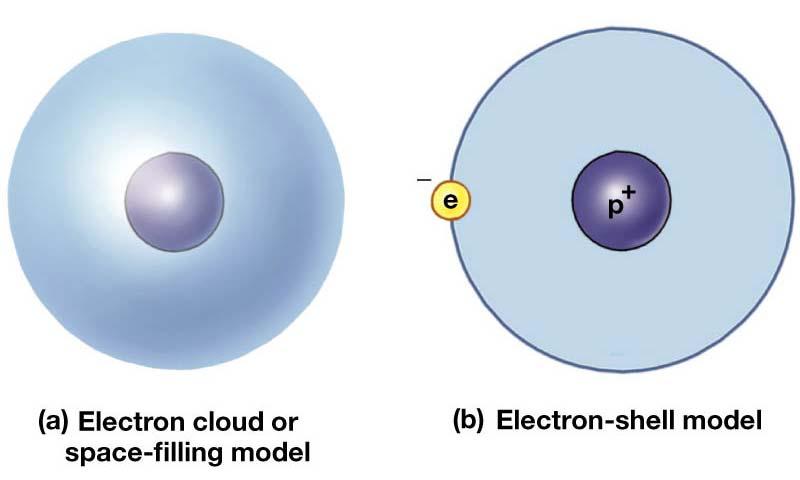 Struttura dell Atomo Protoni e neutroni si trovano nel nucleo (d = 10-15 m) Gli elettroni occupano una nuvola elettronica (strato) esterno (d = 10-10 m) Queste particelle