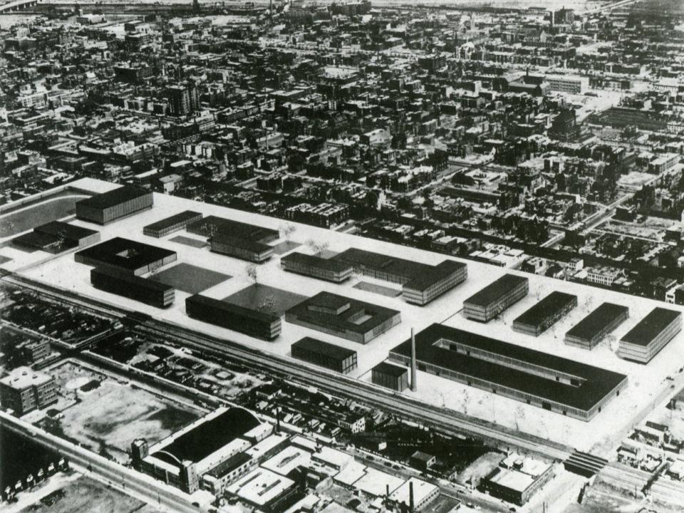 Mies van der Rohe, Piano di sistemazione del Campus