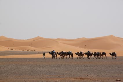 GRAN TOUR DEL MAROCCO Il Marocco è uno dei luoghi più affascinanti del nostro pianeta! Io Viaggio In Camper srl Vi permetterà di entrare nel cuore di questo paese dalla storia millenaria!