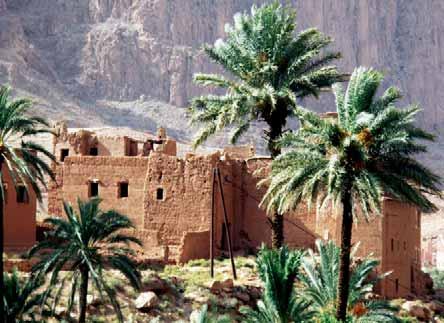 MAROCCO Luoghi di interesse Dalle kasbah alle città imperiali, dai picchi rocciosi dell Atlante alle sabbie sconfinate del Sahara, il Marocco offre splendide testimonianze di un glorioso passato e