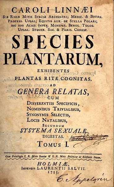 Dal 1753 (anno di pubblicazione dell opera SpeciesPlantarumda parte di Linneo), questo nome è