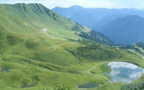 Circa 50 000 ettari di habitat del fagiano di monte sono costituiti da pascoli alpini (zone alpine utilizzate) (Figura 3).
