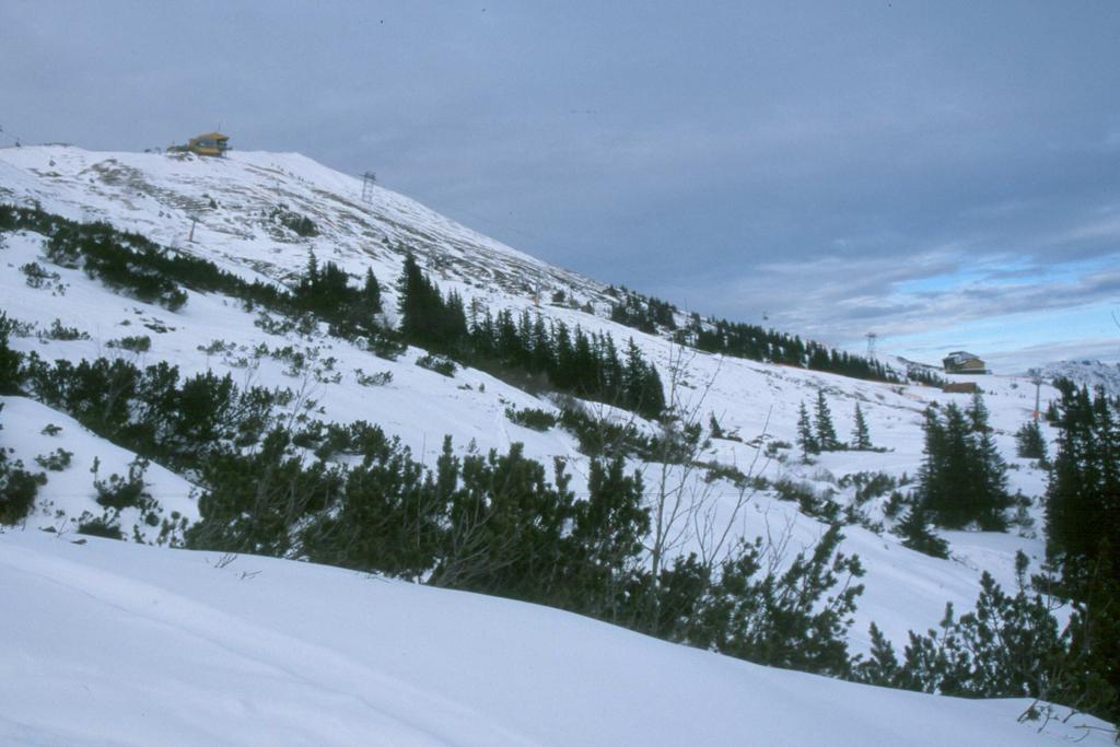 Sui pendii dove viene praticato lo sci fuoripista, un numero sempre maggiore di fagiani di monte che