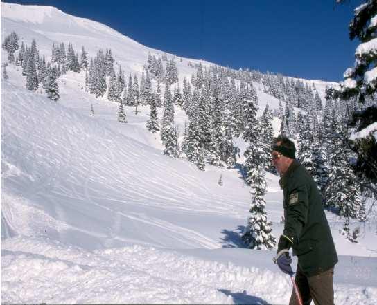 Figura 11 Specialmente dopo una nuova nevicata, la polizia alpina è presente per fare rispettare le regole di protezione, con multe di 200.