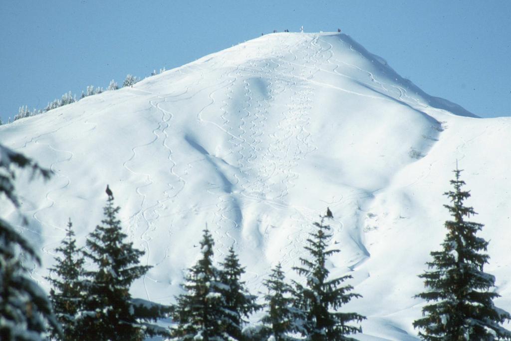 Figura 21: Versante con tracce lasciate da sciatori fuoripista La maggior parte delle montagne bavaresi sono sempre più frequentate dai turisti che praticano lo sci e, negli ultimi 5 anni, anche da