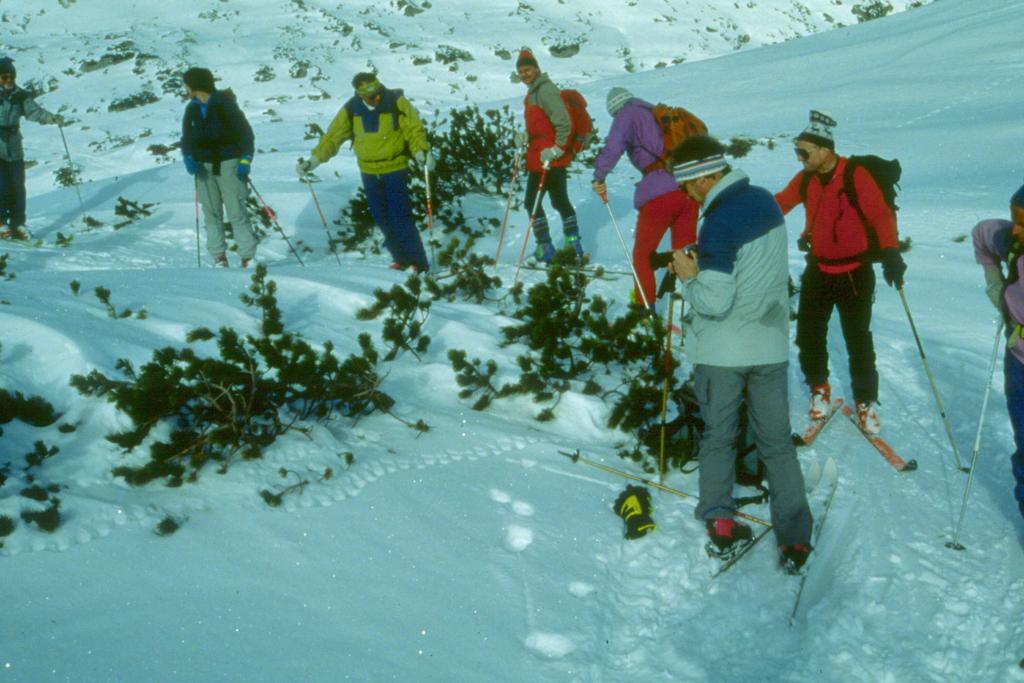 Figura 22: Gruppo di scialpinisti Figura 23: Pannello con indicazione di percorsi per scialpinisti che non disturbino la fauna selvatica L applicazione delle raccomandazioni richiede di organizzare