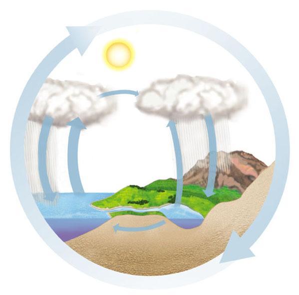 L acqua è coinvolta in un ciclo globale della biosfera Nel ciclo dell acqua il motore è l energia solare, che innesca le precipitazioni, l evaporazione e la traspirazione.