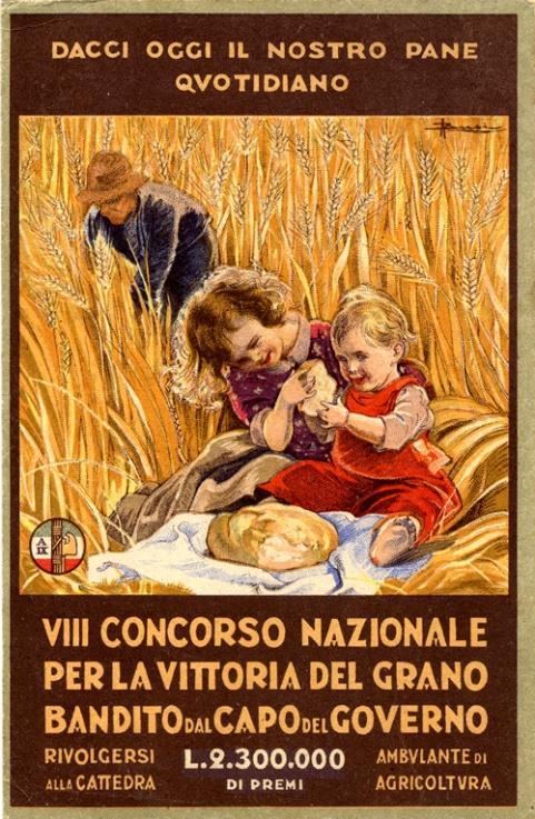 La Battaglia del grano e la bonifica delle zone paludose Uno degli aspetti positivi della