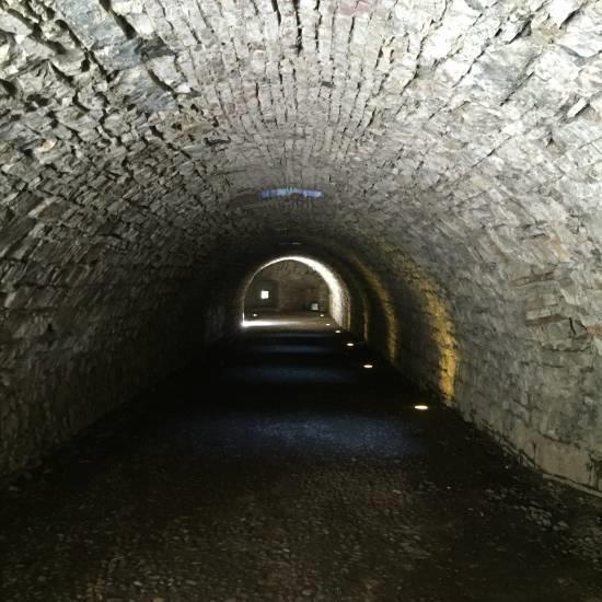 12) Tunnel Nel tunnel sarà previsto il passaggio dei visitatori per godere