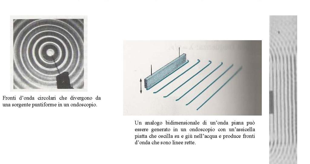 Sorgente onde