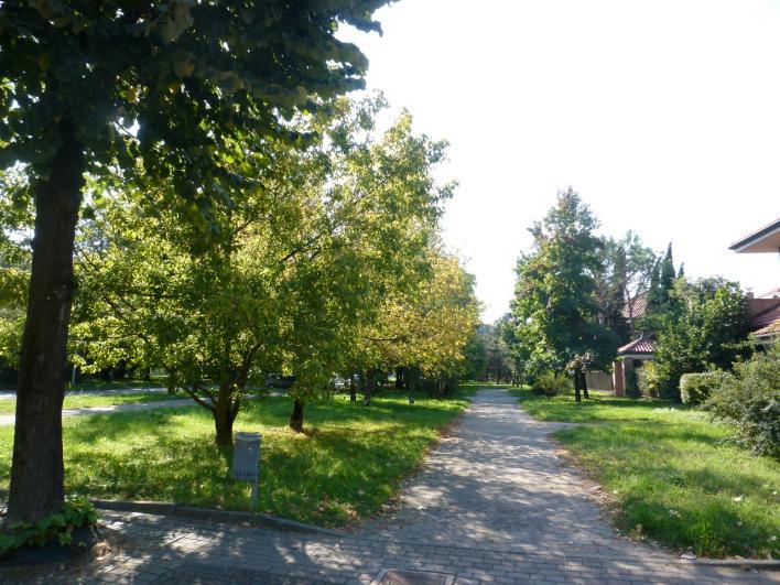 Il percorso prosegue entrando nel vialetto che riconduce a viale Sempione, di fronte al numero 34.