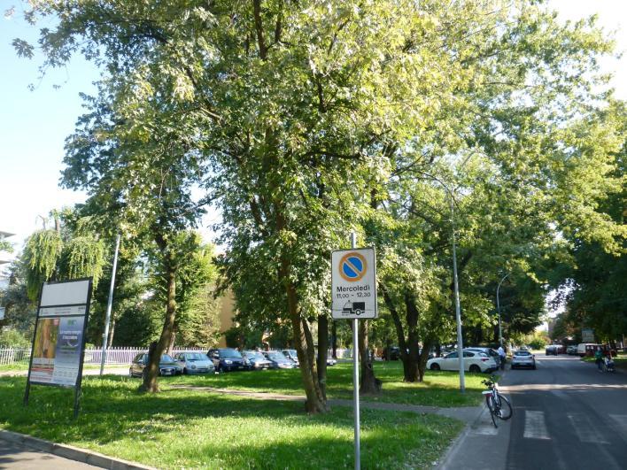 colorano i giardini di un bel rosso fiammeggiante (Foto17).