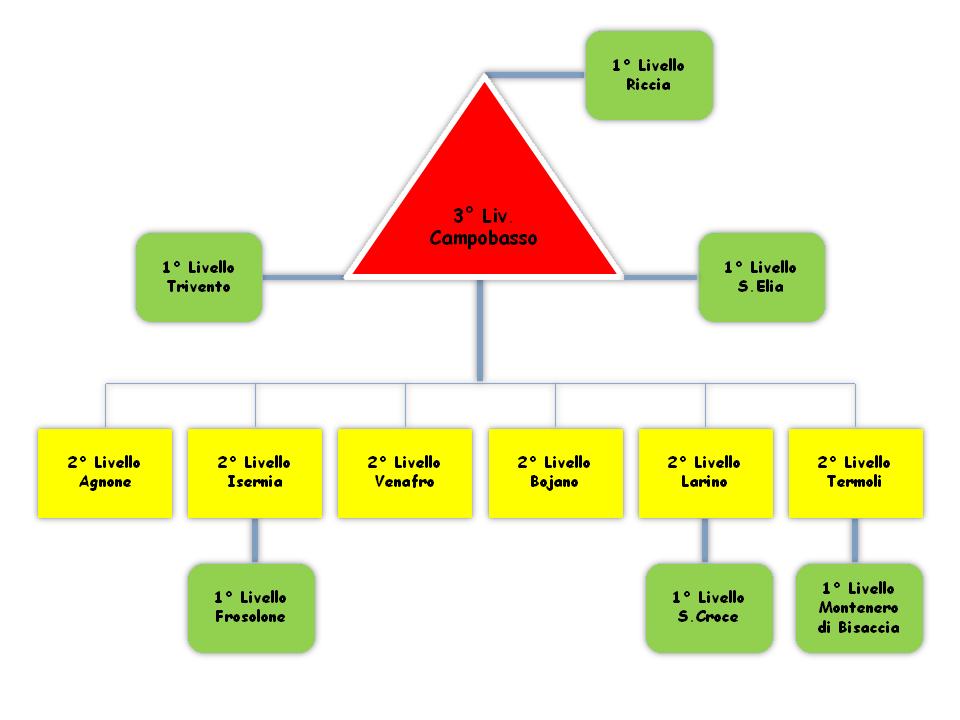 Rappresentazione grafica della struttura organizzativa dell attività Medico