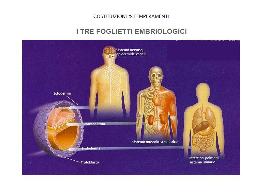 In ogni biotipo prevarranno gli organi