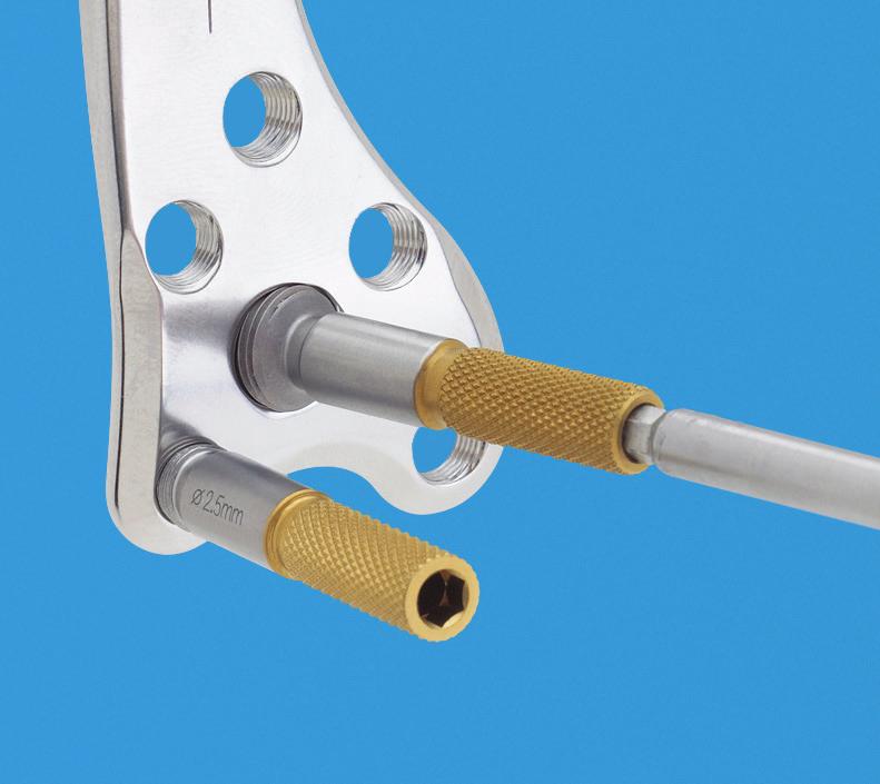 3 mm si possono usare per facilitare l inserimento e la rimozione di centrapunte.