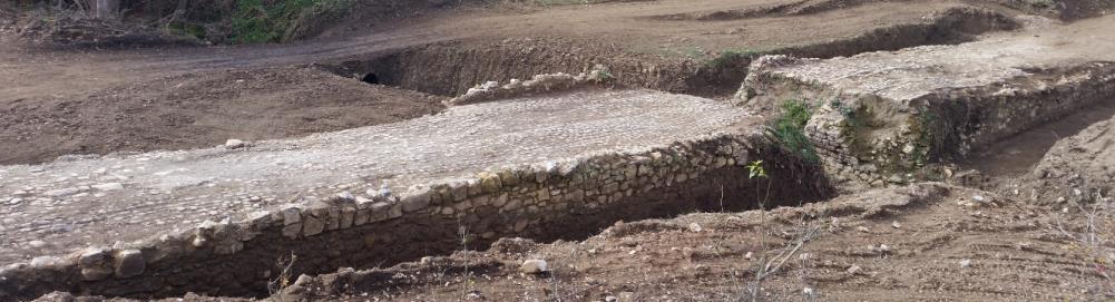 Reperti Archeologici Durante i lavori, nelle fasi di pulizia dell aree a ridosso delle fondazioni del viadotto Biedano, sono venute