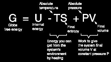 fase. L energia libera di Gibbs risulta molto utile per descrivere queste